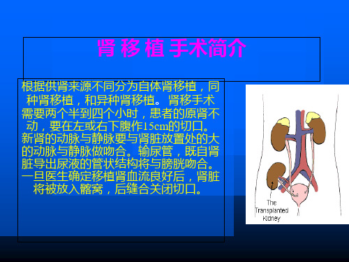 肾移植术后的护理ppt课件