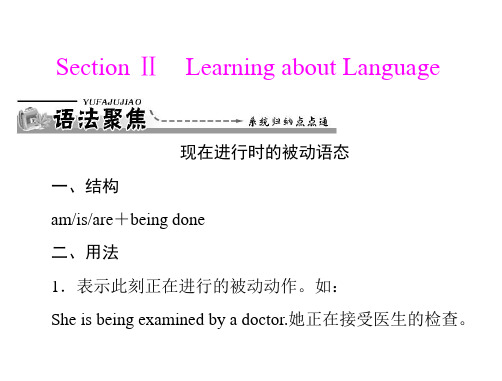 unit4 section ⅱ learning about language课件 新人教版必修2