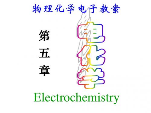 z-第五章电化学