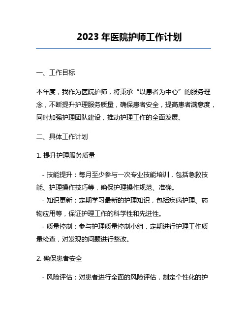 2023年医院护师工作计划