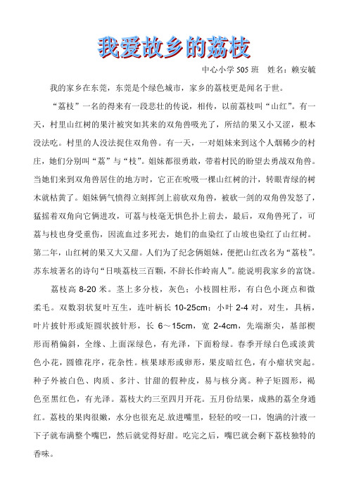 我爱故乡的荔枝