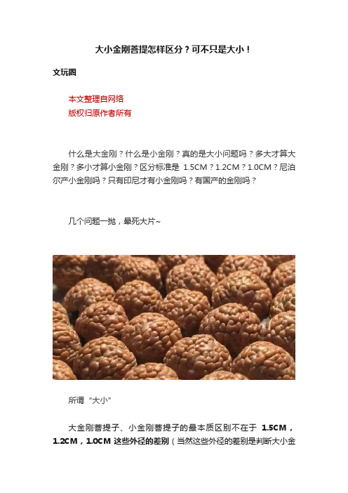 大小金刚菩提怎样区分？可不只是大小！