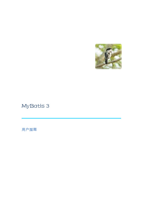 MyBatis中文教程