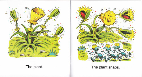 《我的第一套自然拼读故事书》Now I am Reading_Step 3： The Plant