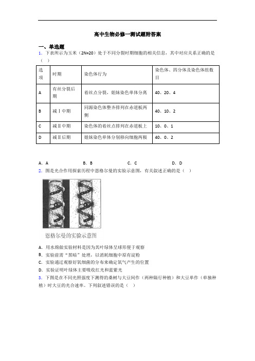 高中生物必修一测试题附答案