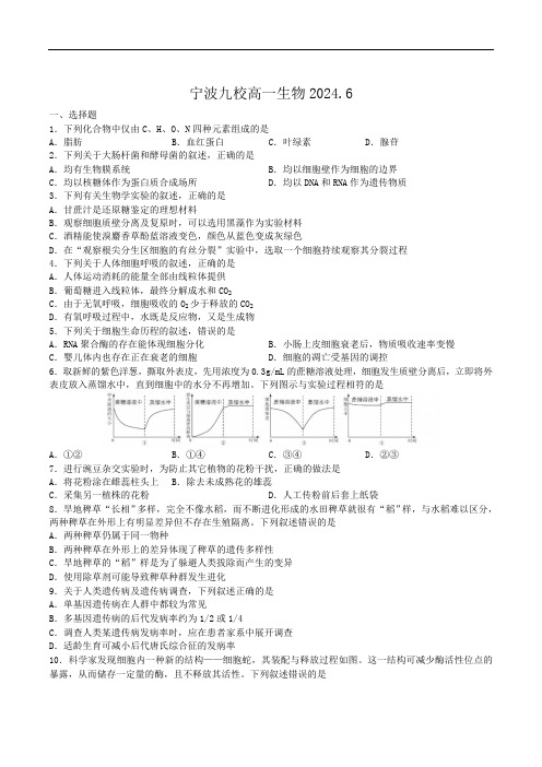 浙江省宁波市九校2023-2024学年高一下学期6月期末联考生物试卷(含答案)