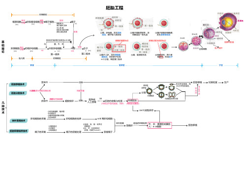 高中生物思维导图-选修一-胚胎工程