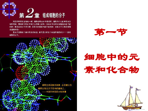 高一年级人教版生物必修一第二章第1节细胞中的元素和化合物教学课件(共39页)