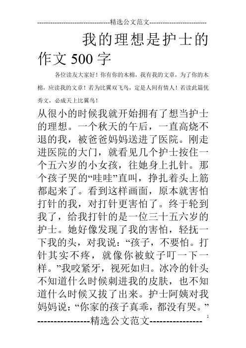 我的理想是护士的作文500字