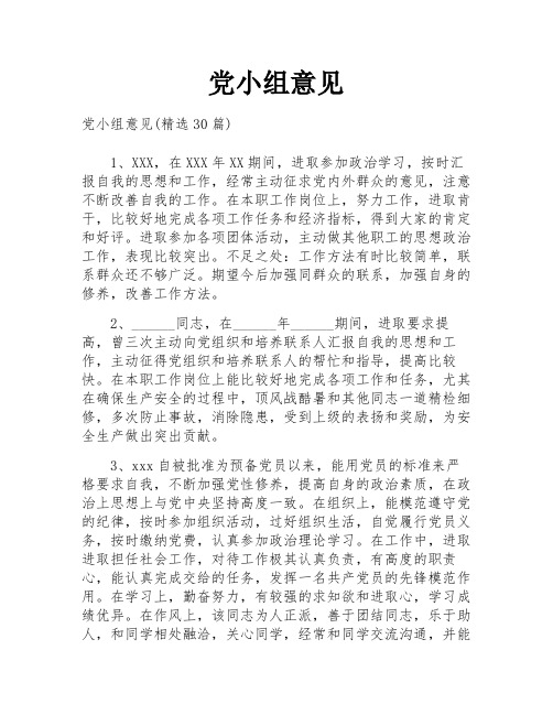 党小组意见