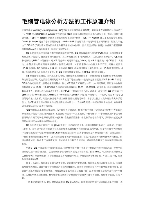 毛细管电泳分析方法的工作原理介绍