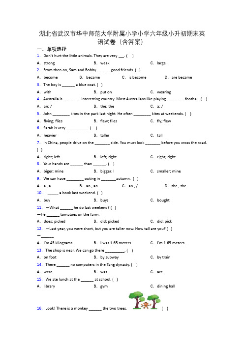 湖北省武汉市华中师范大学附属小学小学六年级小升初期末英语试卷(含答案)