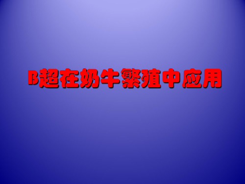 B超在奶牛繁殖中应用  PPT课件