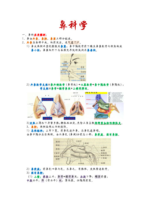 耳鼻喉（PDF）