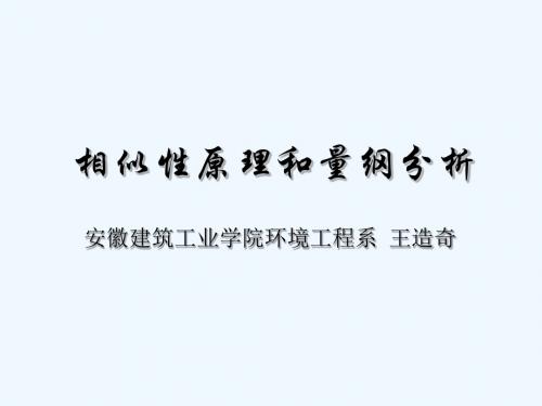 相似性原理和量纲分析.ppt