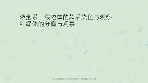 液泡系线粒体的超活染色与观察及叶绿体的分离与观察课件