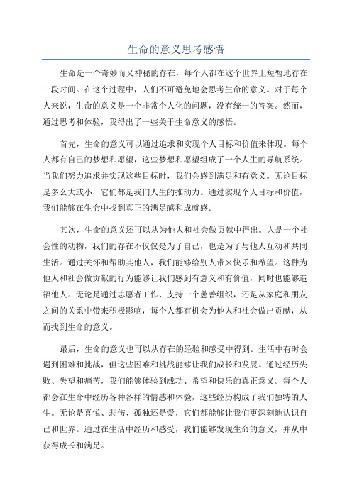 生命的意义思考感悟