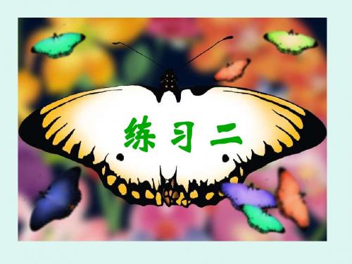 苏教版小学语文六年级下册《练习二》课件