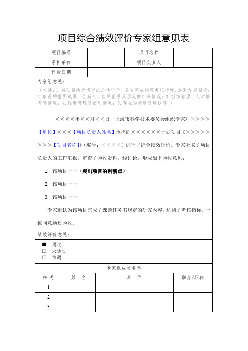 上海市科委项目综合绩效评价专家组意见表模板2020