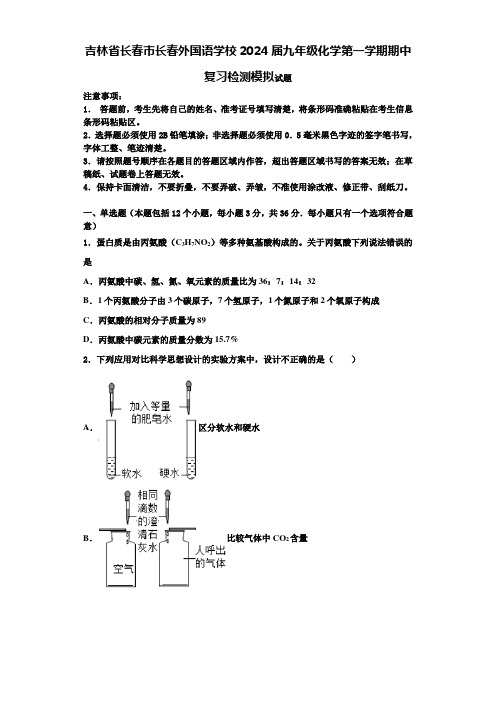 吉林省长春市长春外国语学校2024届九年级化学第一学期期中复习检测模拟试题含答案解析