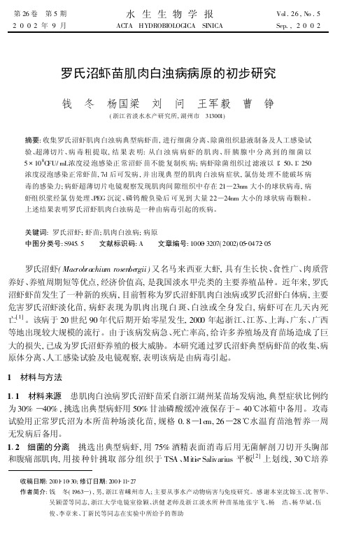 罗氏沼虾苗肌肉白浊病病原的初步研究