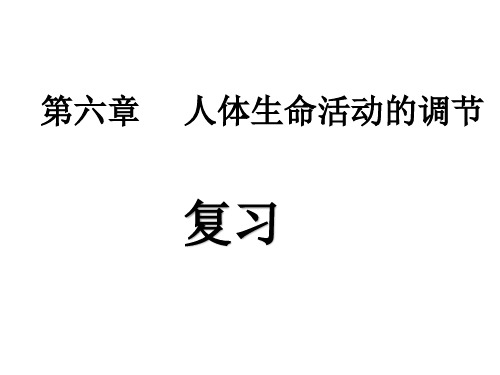 人教版七年级下册第六章人体生命活动的调节复习课件(共30张PPT)