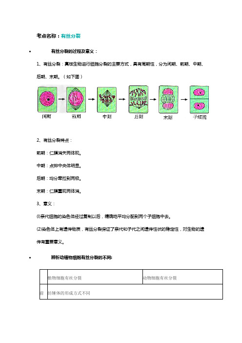 有丝分裂