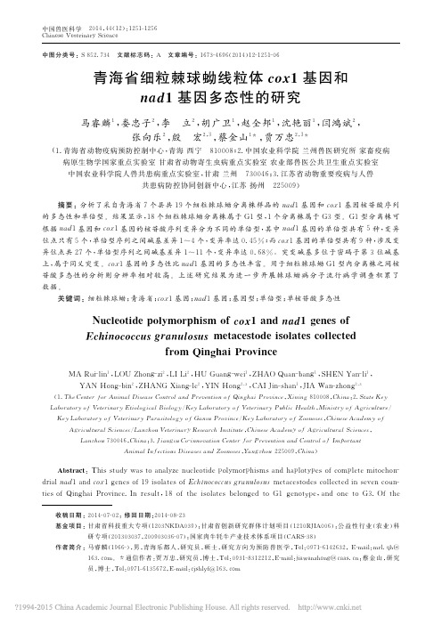 青海省细粒棘球蚴线粒体cox1基因和nad1基因多态性的研究