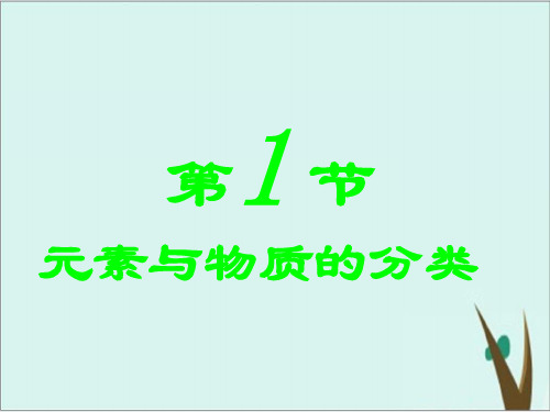 鲁科版化学必修一21元素与物质的分类