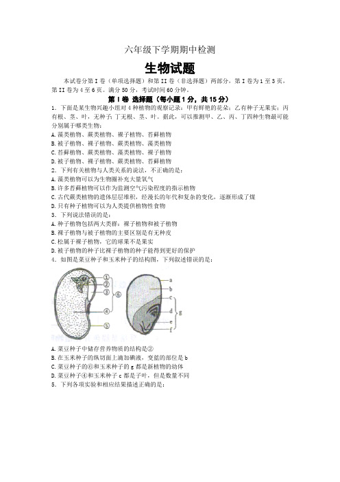 山东省泰安新泰市(五四制)2020-2021学年六年级下学期期中考试生物试题(含答案)