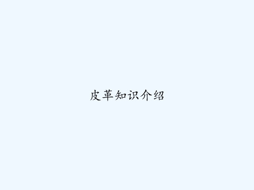 皮革知识介绍 PPT