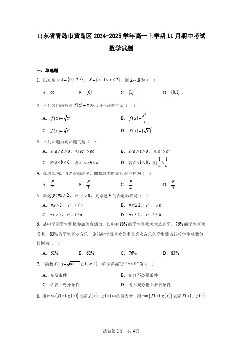 山东省青岛市黄岛区2024-2025学年高一上学期11月期中考试数学试题