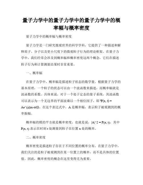 量子力学中的量子力学中的量子力学中的概率幅与概率密度