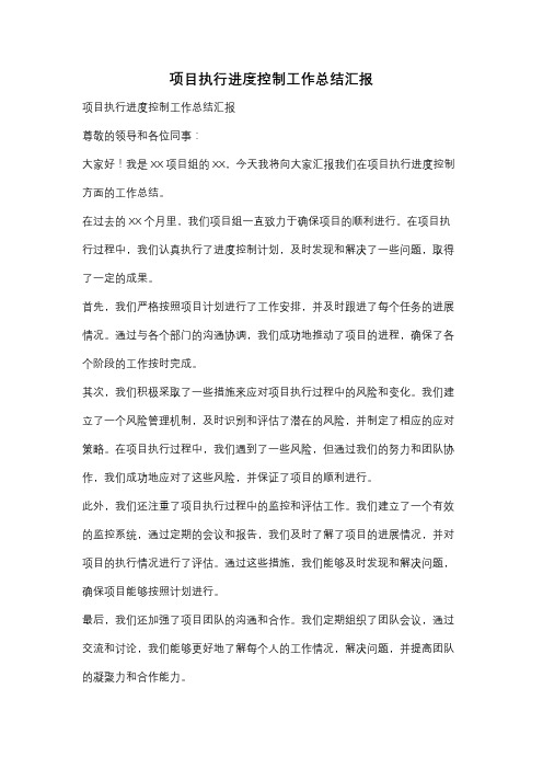 项目执行进度控制工作总结汇报