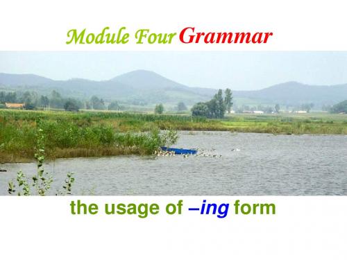 高一英语module-four-grammar(新编2019)