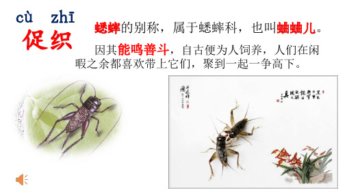 人教部编版语文《夜书所见》PPT课件1