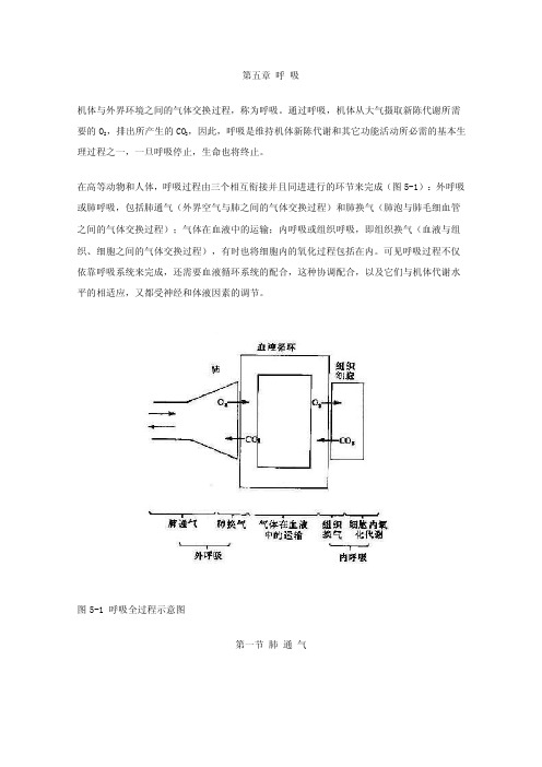 机体与外界环境之间的气体交换过程