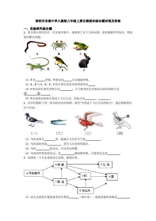 深圳市东湖中学人教版八年级上册生物期末综合题试卷及答案