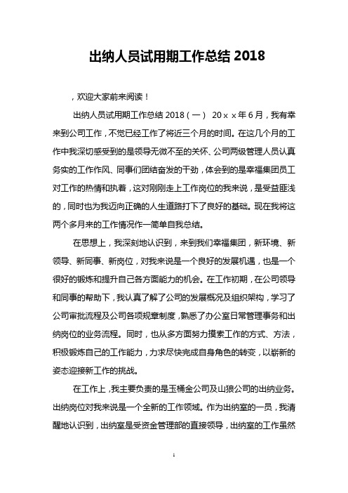 出纳人员试用期工作总结2018
