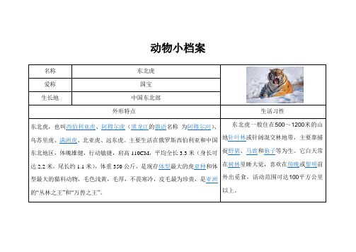 动物小档案
