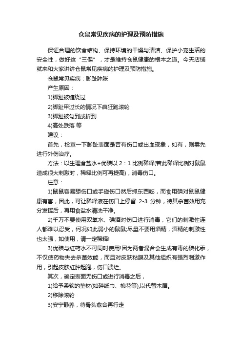 仓鼠常见疾病的护理及预防措施