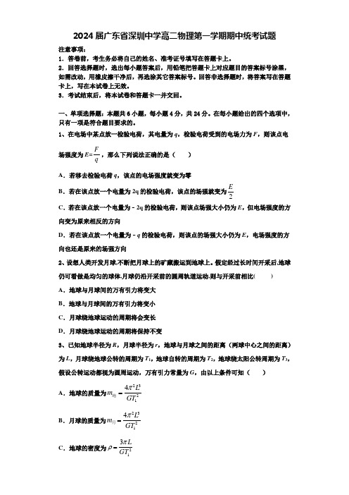 2024届广东省深圳中学高二物理第一学期期中统考试题含解析