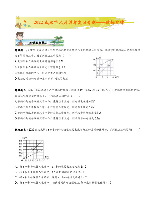 2022武汉市元月调考复习专题——欧姆定律