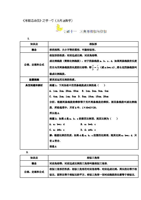 九年级数学寒假作业【专题11】三角形相似与位似(学)