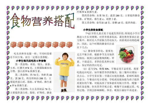小学生小报食物营养搭配