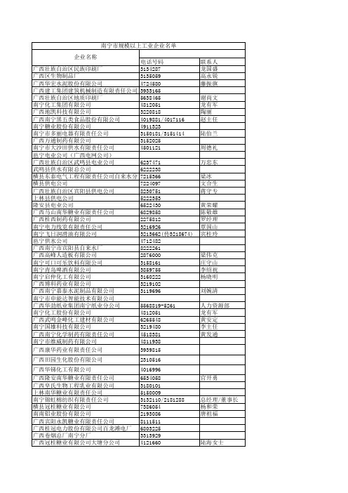 (中心175)2006年南宁市规模以上工业企业名单xls