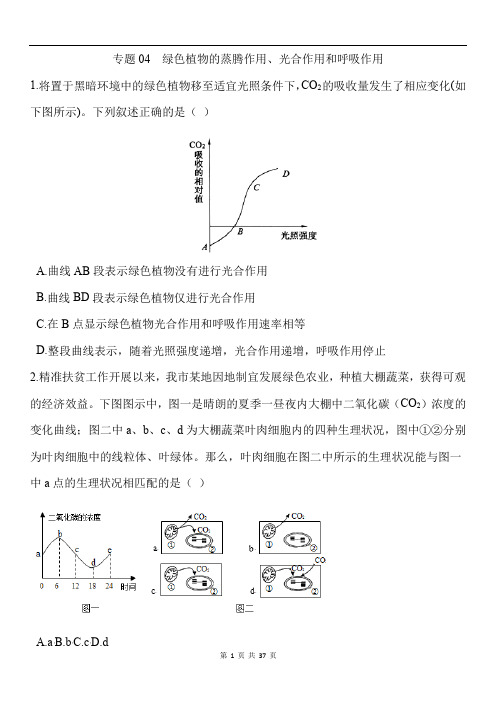 中考生物易错点集中专项训练解析版-专题04 绿色植物的蒸腾作用、光合作用和呼吸作用