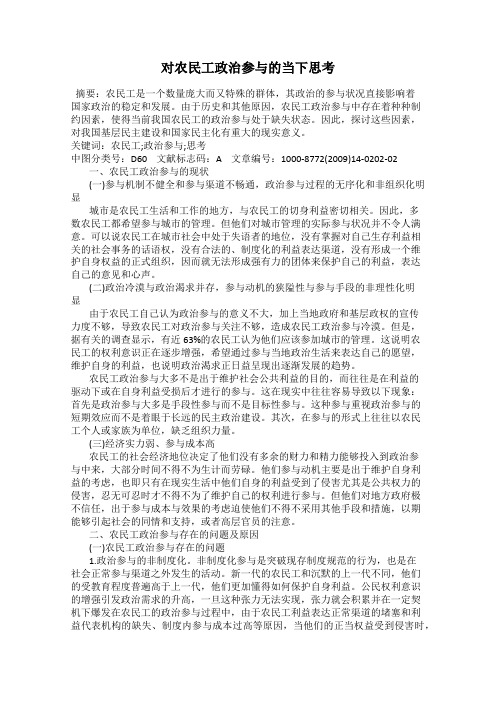 对农民工政治参与的当下思考