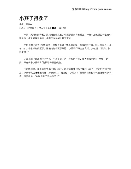 小燕子得救了