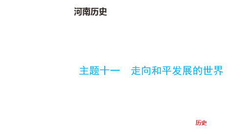 中考历史总复习主题十一 走向和平发展的世界